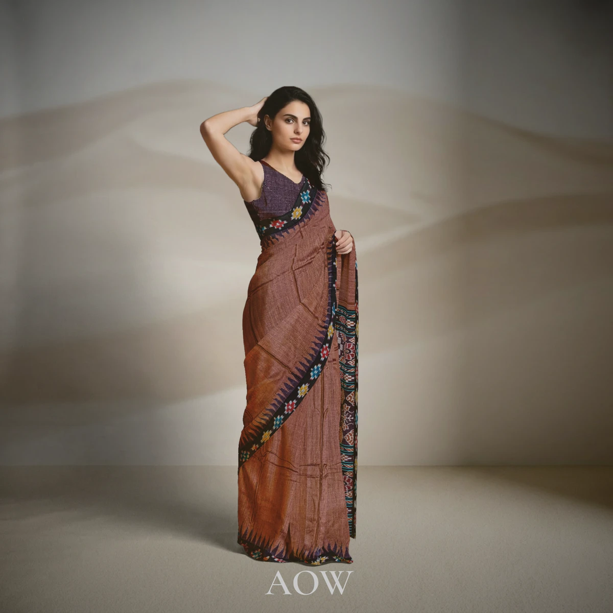 Brown Pasapali Border Eri Silk Saree